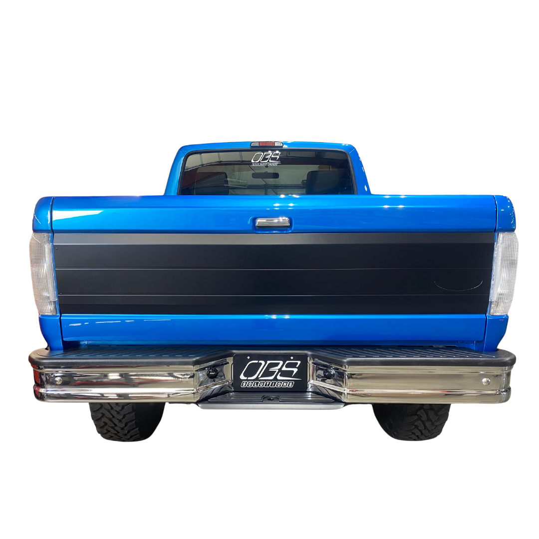 Tailgate Panel with Two Lines
